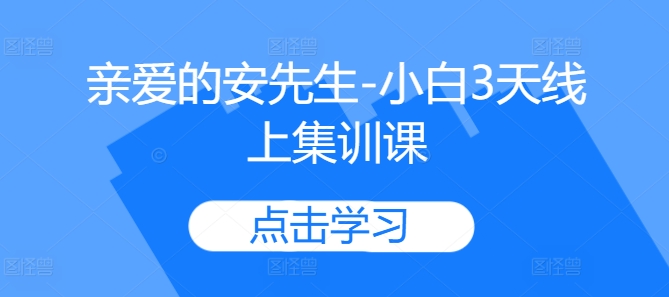 亲爱的安先生-小白3天线上集训课-林文副业站