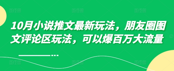 10月小说推文最新玩法，朋友圈图文评论区玩法，可以爆百万大流量 -林文副业站