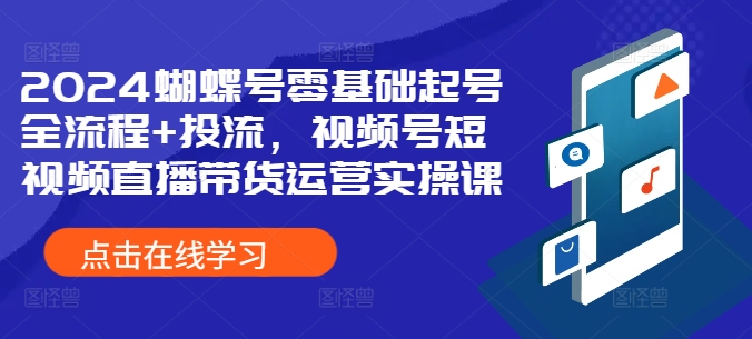 2024蝴蝶号零基础起号全流程+投流，视频号短视频直播带货运营实操课-林文副业站