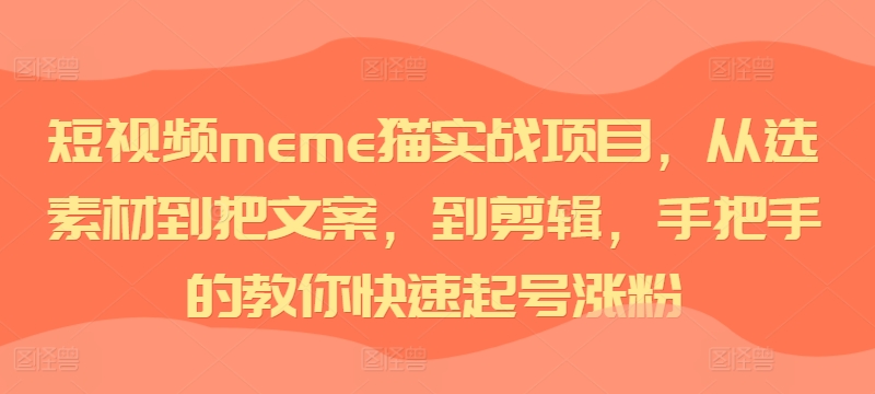 短视频meme猫实战项目，从选素材到把文案，到剪辑，手把手的教你快速起号涨粉-林文副业站