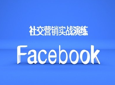 Facebook社交营销实战演练，外贸人绝对不能错过的营销推广平台-林文副业站