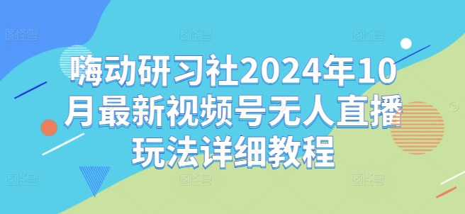 嗨动研习社2024年10月最新视频号无人直播玩法详细教程-林文副业站