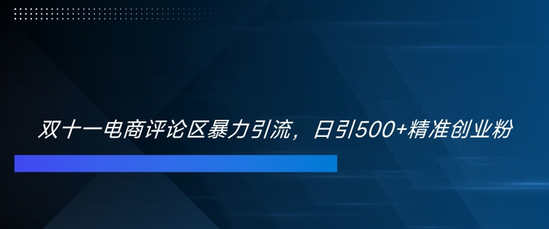 双十一电商评论区暴力引流，日引500+精准创业粉【揭秘】-林文副业站