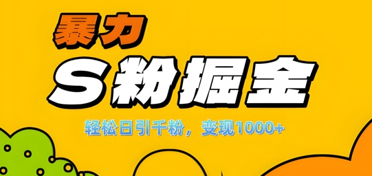 单人单机日引千粉，变现1k+，S粉流量掘金计划攻略【揭秘】-林文副业站