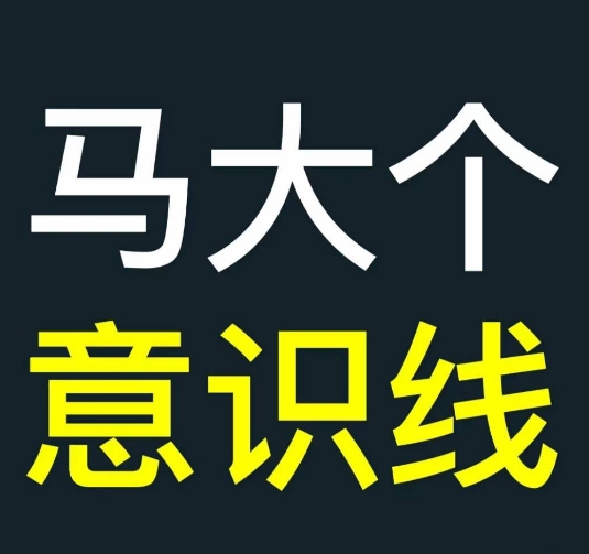 马大个意识线，一门改变人生意识的课程，讲解什么是能力线什么是意识线-林文副业站
