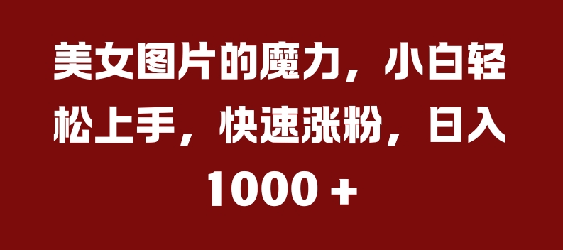 美女图片的魔力，小白轻松上手，快速涨粉，日入几张【揭秘】-林文副业站