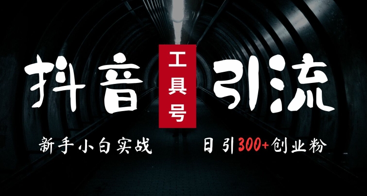 2024最新抖音工具号引流玩法，高效日引300+创业粉，当天变现5k，小白也可成为实战高手-林文副业站