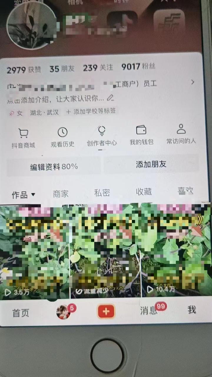 最新抖音暴力起万粉技术，一天涨万粉，发三四个作品涨近万粉-林文副业站