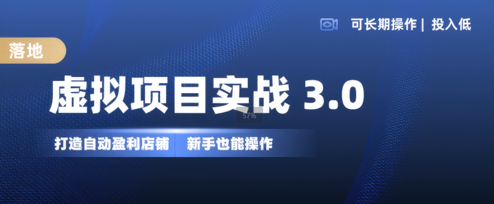 虚拟项目实战3.0，打造自动盈利店铺，可长期操作投入低，新手也能操作-林文副业站