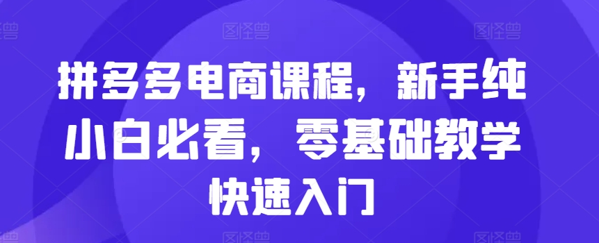 拼多多电商课程，新手纯小白必看，零基础教学快速入门-林文副业站