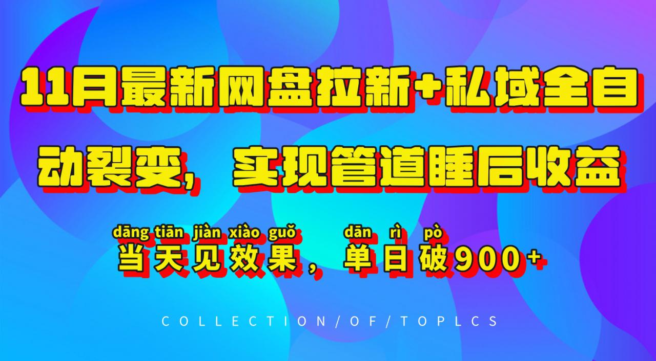 11月最新网盘拉新+私域全自动裂变，实现管道睡后收益，当天见效果，单日破900+-林文副业站