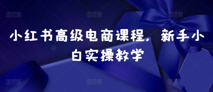小红书高级电商课程，新手小白实操教学-林文副业站