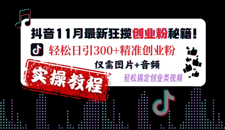 抖音11月最新狂揽创业粉秘籍，轻松日引300+精准创业粉，仅需图片+音频，轻松搞定创业类视频-林文副业站