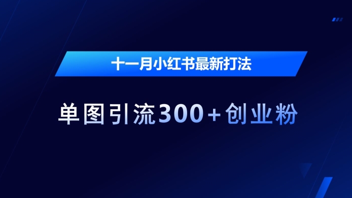 十一月小红书最新打法，单图引流300+创业粉【揭秘】-林文副业站