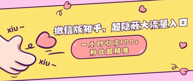 微信版知乎，超隐蔽流量入口1小时引流100人，粉丝质量超高【揭秘】-林文副业站