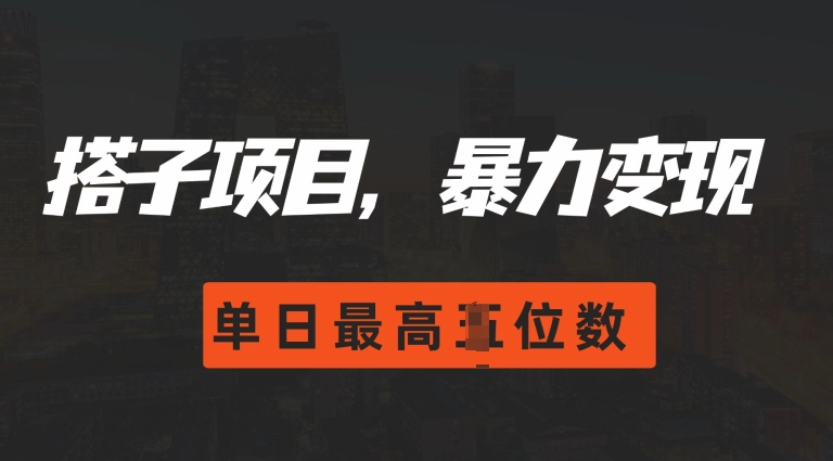 2024搭子玩法，0门槛，暴力变现，单日最高破四位数【揭秘】-林文副业站