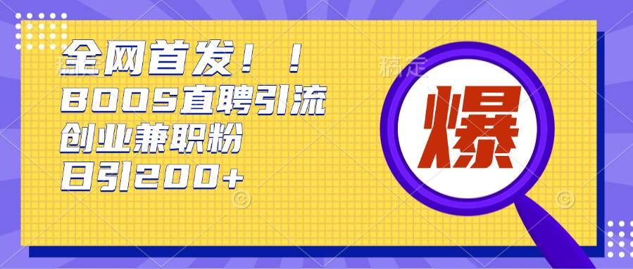 通过Boss直聘，每天轻松钓到200+多条创业大鱼的秘籍【揭秘】-林文副业站