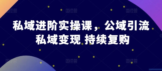私域进阶实操课，公域引流 私域变现 持续复购-林文副业站
