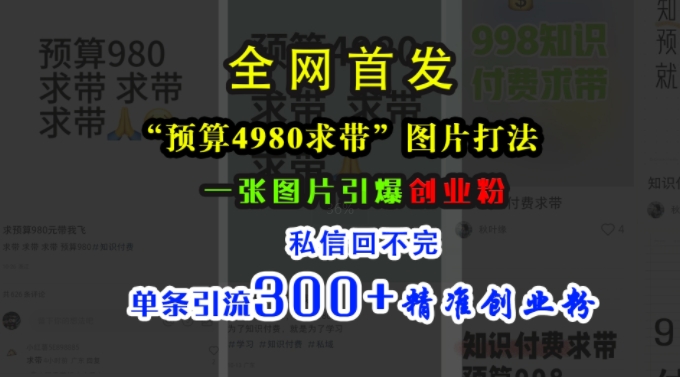 小红书“预算4980带我飞”图片打法，一张图片引爆创业粉，私信回不完，单条引流300+精准创业粉-林文副业站