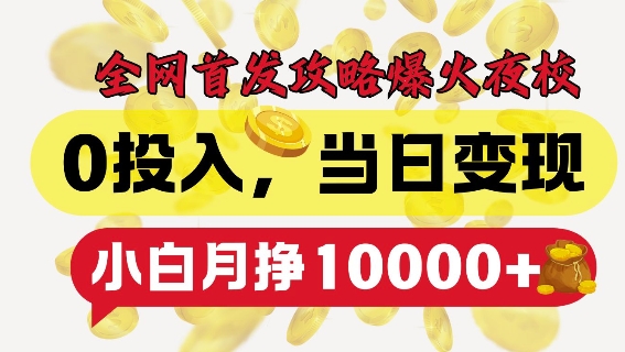全网首发爆火夜校，0投入，当日变现，小白轻松月入1w+【揭秘】-林文副业站