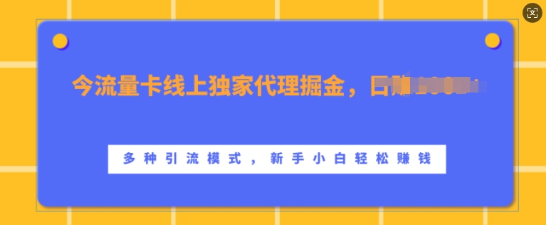 流量卡线上独家代理掘金，日入1k+ ，多种引流模式，新手小白轻松上手【揭秘】-林文副业站