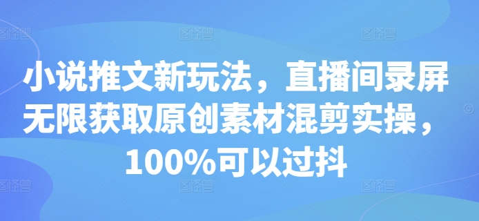 小说推文新玩法，直播间录屏无限获取原创素材混剪实操，100%可以过抖-林文副业站