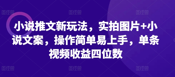 小说推文新玩法，实拍图片+小说文案，操作简单易上手，单条视频收益四位数-林文副业站