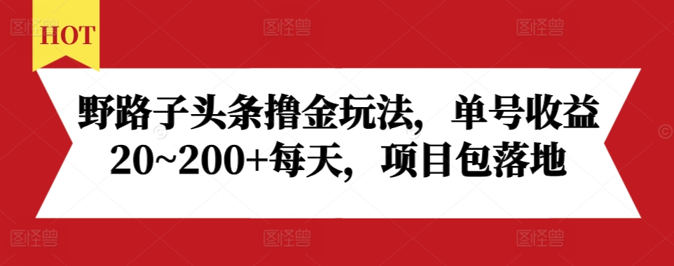 野路子头条撸金玩法，单号收益20~200+每天，项目包落地-林文副业站