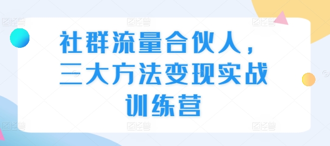 社群流量合伙人，三大方法变现实战训练营-林文副业站