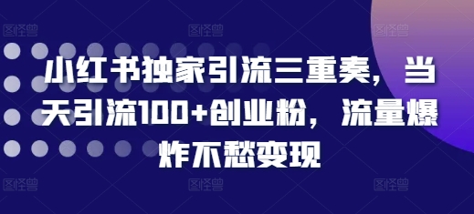 小红书独家引流三重奏，当天引流100+创业粉，流量爆炸不愁变现【揭秘】-林文副业站