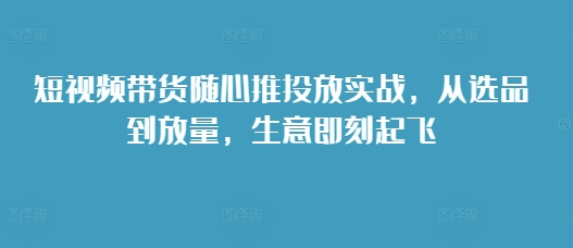 短视频带货随心推投放实战，从选品到放量，生意即刻起飞-林文副业站