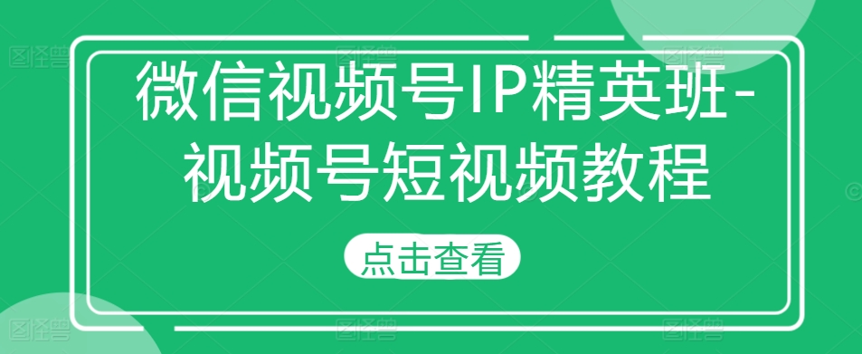 微信视频号IP精英班-视频号短视频教程-林文副业站