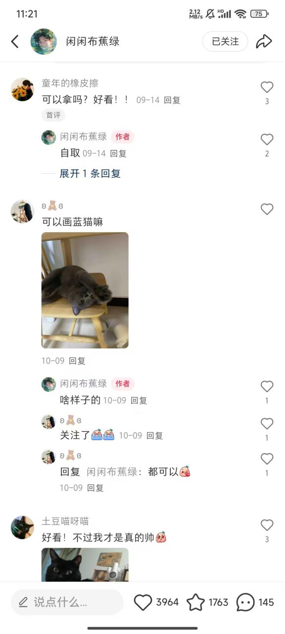 小红书私人定制图项目，附赠一单4W渠道【揭秘】-林文副业站