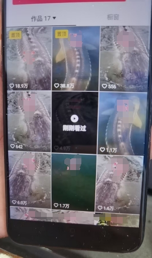 外面卖399的国学佛像原创暴力起号技术，快速起号，7天可达到一个万粉号-林文副业站