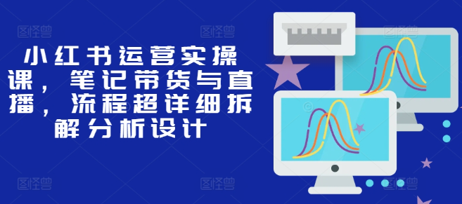 小红书运营实操课，笔记带货与直播，流程超详细拆解分析设计-林文副业站