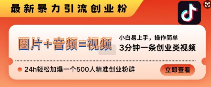抖音最新暴力引流创业粉，3分钟一条创业类视频，24h轻松加爆一个500人精准创业粉群【揭秘】-林文副业站