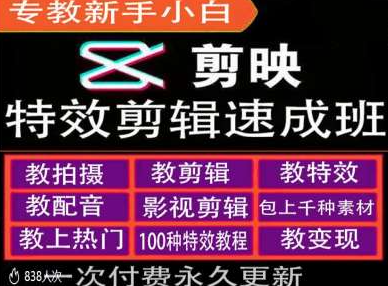 剪映特效教程和运营变现教程，特效剪辑速成班，专教新手小白-林文副业站