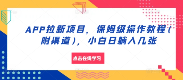 APP拉新项目，保姆级操作教程(附渠道)，小白日躺入几张【揭秘】-林文副业站