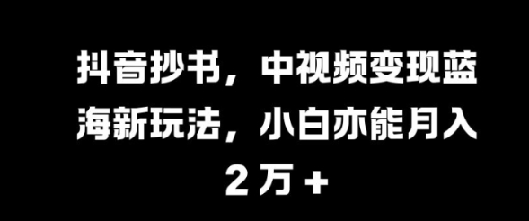 抖音抄书，中视频变现蓝海新玩法，小白亦能月入 过W【揭秘】-林文副业站