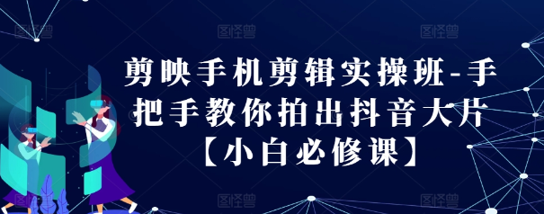 剪映手机剪辑实操班-手把手教你拍出抖音大片【小白必修课】-林文副业站