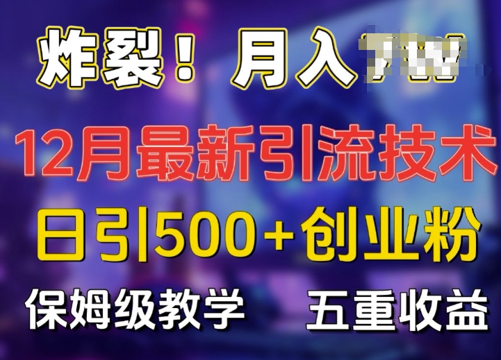 炸裂!揭秘12月最新日引流500+精准创业粉，多重收益保姆级教学-林文副业站