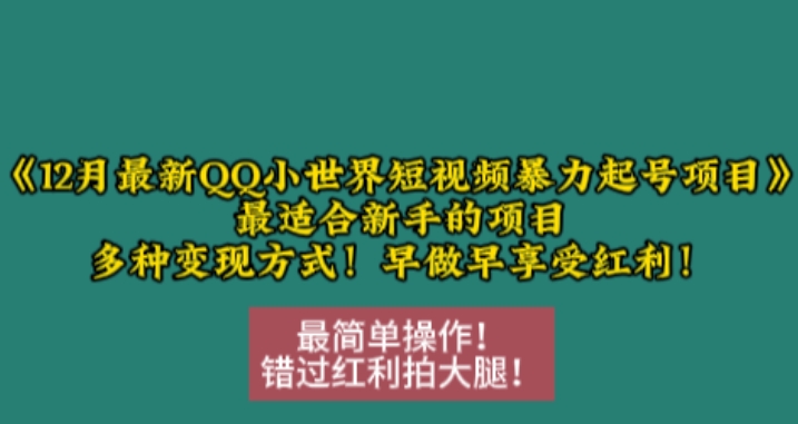 12月最新QQ小世界短视频暴力起号项目，最适合新手的项目，多种变现方式-林文副业站