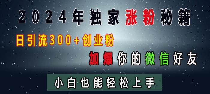 2024年独家涨粉秘籍，日引流300+创业粉，加爆你的微信好友，小白也能轻松上手-林文副业站