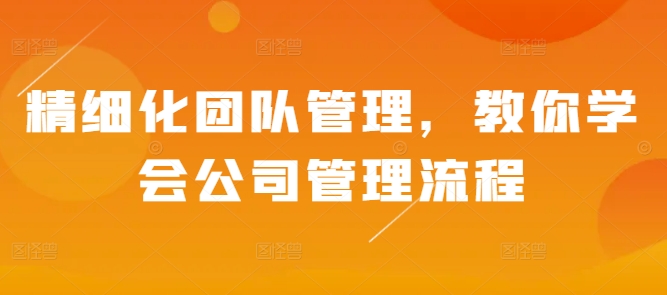 精细化团队管理，教你学会公司管理流程-林文副业站
