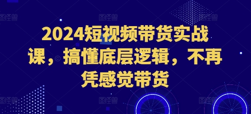 2024短视频带货实战课，搞懂底层逻辑，不再凭感觉带货-林文副业站