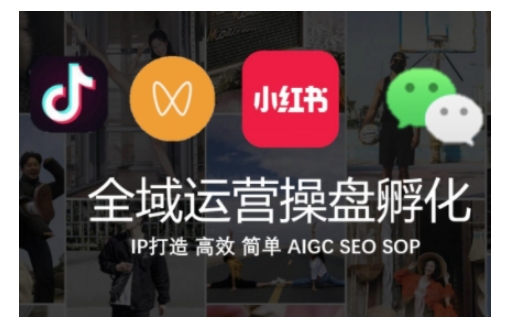 全域运营操盘(抖音+私域+小红书)，IP打造高效简单-林文副业站