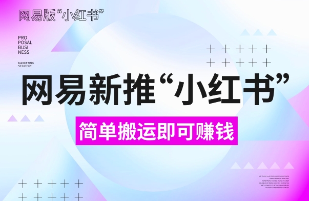网易官方新推“小红书”，搬运即有收益，新手小白千万别错过(附详细教程)【揭秘】-林文副业站