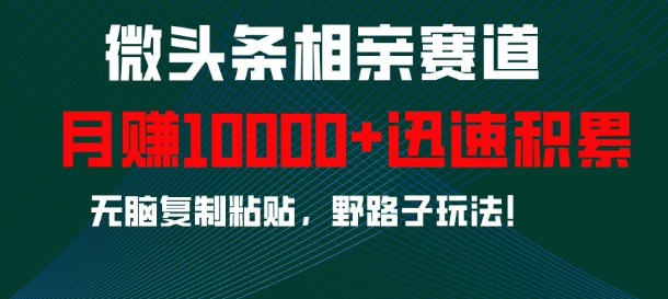 微头条相亲赛道，迅速积累，无脑复制粘贴，野路子玩法，月入1w-林文副业站