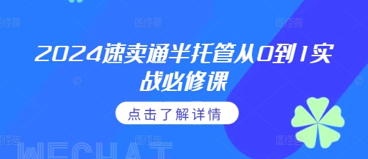 2024速卖通半托管从0到1实战必修课，掌握通投广告打法、熟悉速卖通半托管的政策细节-林文副业站