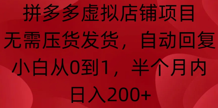 拼多多虚拟店铺项目，无需压货发货，自动回复，小白从0到1，半个月内日入200+【揭秘】-林文副业站